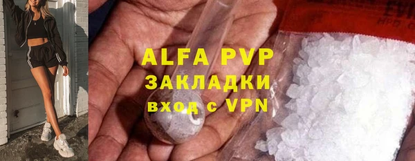PSILOCYBIN Балахна