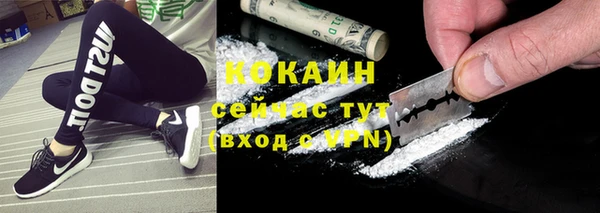 ГАЛЛЮЦИНОГЕННЫЕ ГРИБЫ Баксан