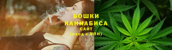 PSILOCYBIN Балахна