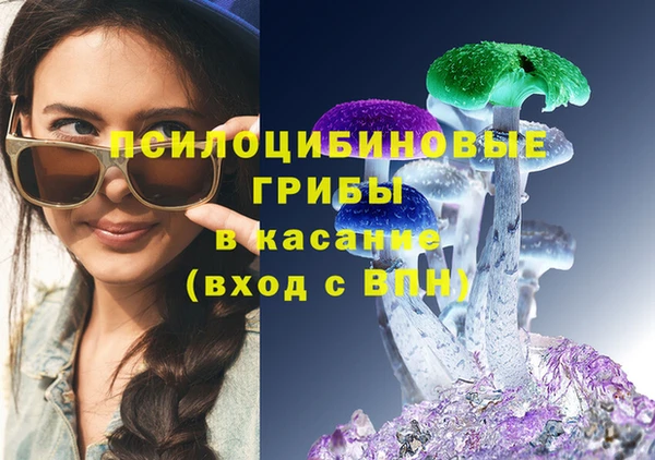 PSILOCYBIN Балахна