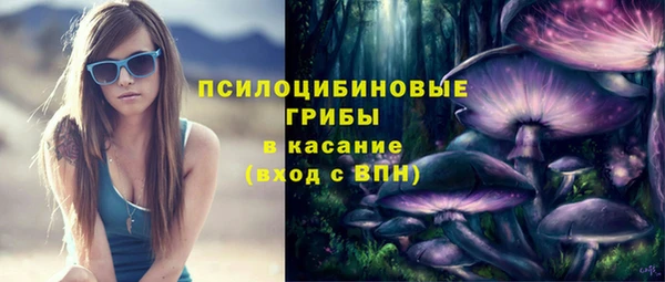 ГАЛЛЮЦИНОГЕННЫЕ ГРИБЫ Баксан
