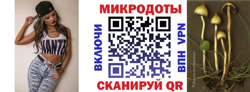 Псилоцибиновые грибы Magic Shrooms  что такое   Верхняя Пышма 